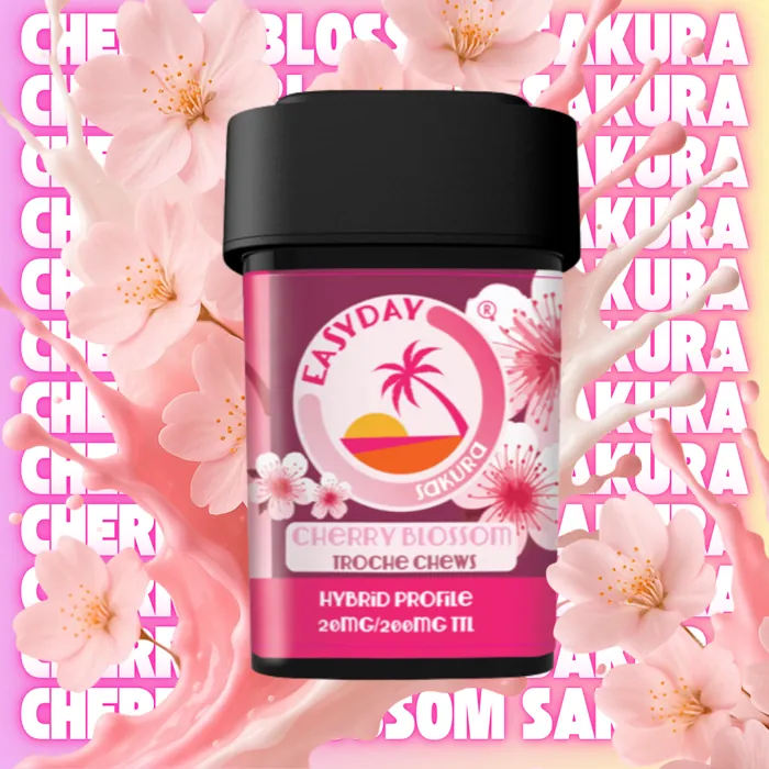 Cherry Blossom